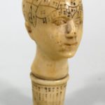 Carved Ivory Phrenology Head, English, 19th C. Sold For $1,687.