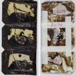 Peter Beard, Africa On The Rocks (triptych) 1984 2002. Sold For $15,000 At Capsule Gallery Auction