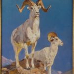 Carl Rungius, 1869-1959, Mountain Goats, Oil On Canvas, Est. 30-50,000