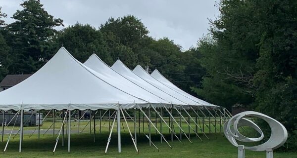 Mega Estates Tag Sale | Litchfield